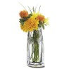 VASE CLEAR