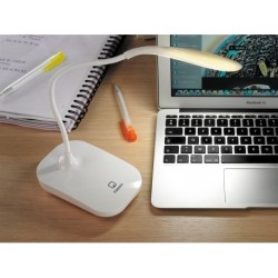 LAMPE DE BUREAU FLEXIBLE USB WHITESWAN